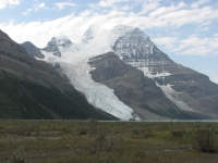 Mt. Robson